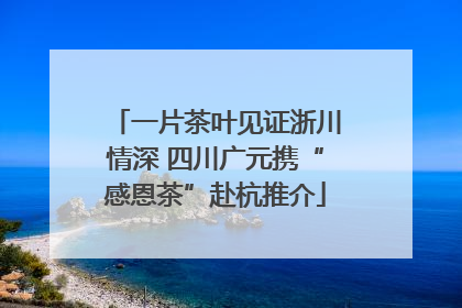 一片茶叶见证浙川情深 四川广元携“感恩茶”赴杭推介