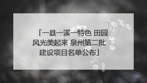 一县一溪一特色 田园风光美起来 泉州第二批建设项目名单公布
