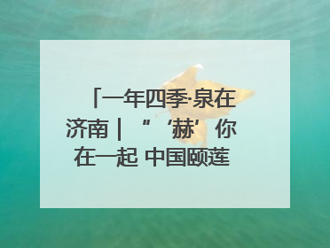 一年四季·泉在济南｜“‘赫’你在一起 中国颐莲喷雾节”盛大开启 共赴水润之约