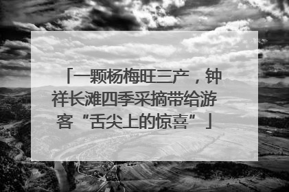 一颗杨梅旺三产，钟祥长滩四季采摘带给游客“舌尖上的惊喜”