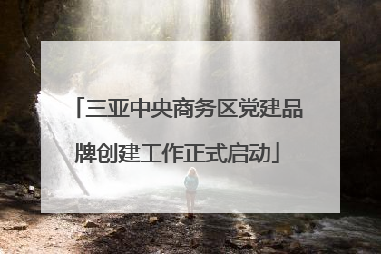 三亚中央商务区党建品牌创建工作正式启动