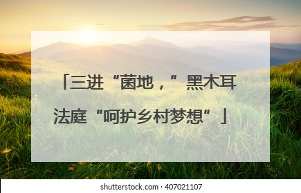 三进“菌地，”黑木耳法庭“呵护乡村梦想”