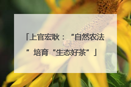 上官宏耿：“自然农法”培育“生态好茶”