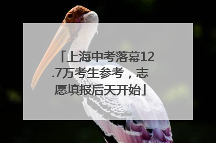 上海中考落幕12.7万考生参考，志愿填报后天开始