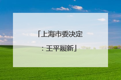 上海市委决定：王平履新
