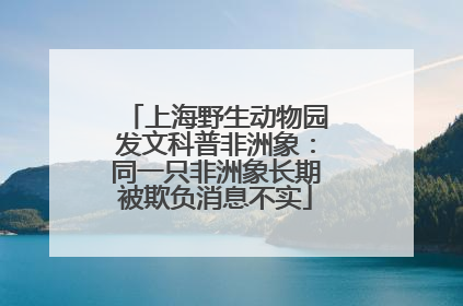 上海野生动物园发文科普非洲象：同一只非洲象长期被欺负消息不实