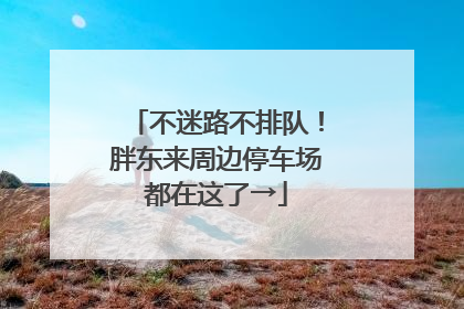 不迷路不排队！胖东来周边停车场都在这了→
