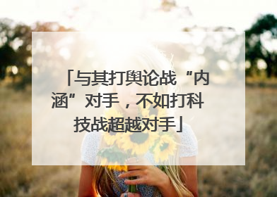 与其打舆论战“内涵”对手，不如打科技战超越对手