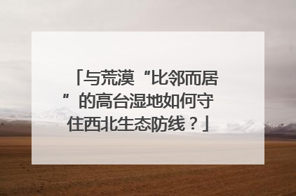 与荒漠“比邻而居”的高台湿地如何守住西北生态防线？