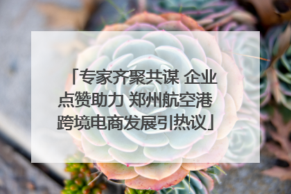 专家齐聚共谋 企业点赞助力 郑州航空港跨境电商发展引热议