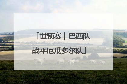世预赛｜巴西队战平厄瓜多尔队