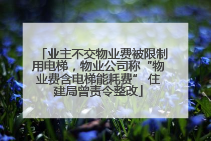 业主不交物业费被限制用电梯，物业公司称“物业费含电梯能耗费” 住建局曾责令整改