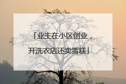 业主在小区创业，开洗衣店还卖雪糕
