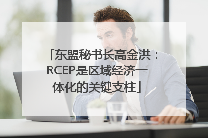 东盟秘书长高金洪：RCEP是区域经济一体化的关键支柱