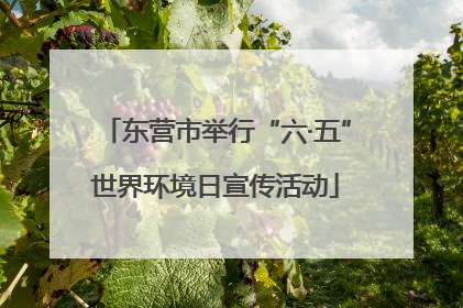 东营市举行“六·五”世界环境日宣传活动