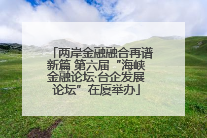 两岸金融融合再谱新篇 第六届“海峡金融论坛·台企发展论坛”在厦举办