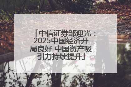 中信证券邹迎光：2025中国经济开局良好 中国资产吸引力持续提升