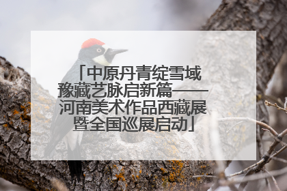 中原丹青绽雪域 豫藏艺脉启新篇——河南美术作品西藏展暨全国巡展启动