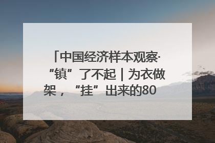 中国经济样本观察·“镇”了不起｜为衣做架，“挂”出来的80亿元“衣架产业”