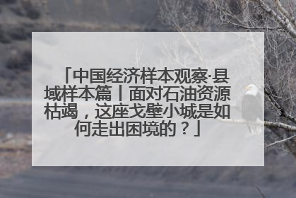 中国经济样本观察·县域样本篇丨面对石油资源枯竭，这座戈壁小城是如何走出困境的？