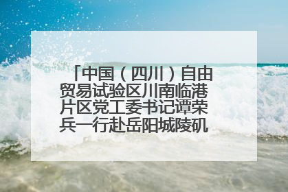 中国（四川）自由贸易试验区川南临港片区党工委书记谭荣兵一行赴岳阳城陵矶综保区考察