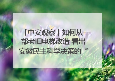 中安观察｜如何从一部老旧电梯改造 看出安徽民主科学决策的“高分秘诀”？