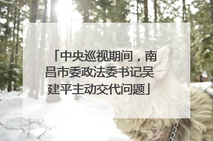 中央巡视期间，南昌市委政法委书记吴建平主动交代问题