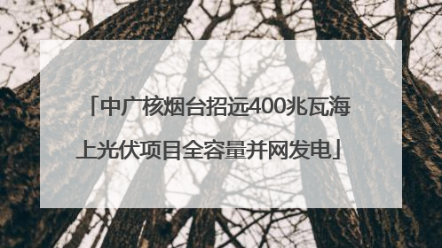 中广核烟台招远400兆瓦海上光伏项目全容量并网发电