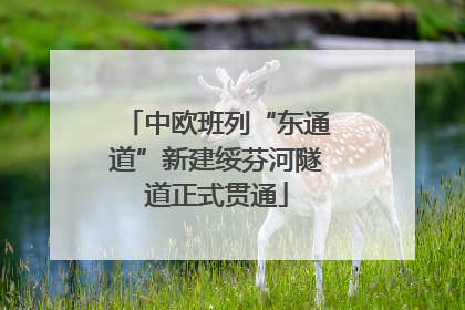 中欧班列“东通道”新建绥芬河隧道正式贯通