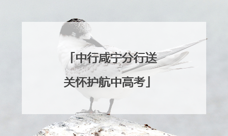 中行咸宁分行送关怀护航中高考