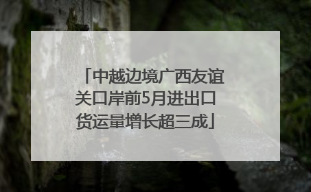 中越边境广西友谊关口岸前5月进出口货运量增长超三成