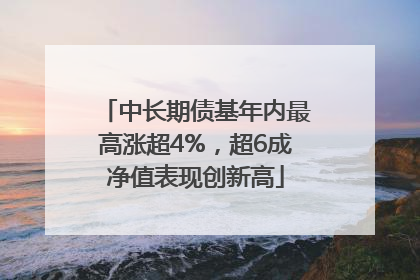 中长期债基年内最高涨超4%，超6成净值表现创新高