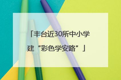 丰台近30所中小学建“彩色学安路”