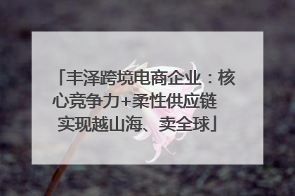 丰泽跨境电商企业：核心竞争力+柔性供应链 实现越山海、卖全球
