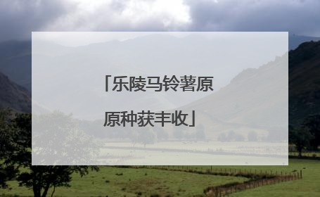 乐陵马铃薯原原种获丰收
