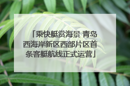 乘快艇赏海景 青岛西海岸新区西部片区首条客艇航线正式运营