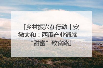 乡村振兴在行动丨安徽太和：西瓜产业铺就“甜蜜”致富路
