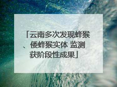 云南多次发现蜂猴、倭蜂猴实体 监测获阶段性成果