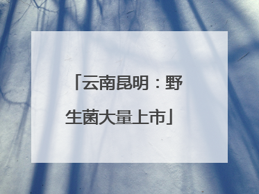 云南昆明：野生菌大量上市