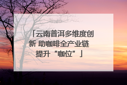 云南普洱多维度创新 助咖啡全产业链提升“咖位”