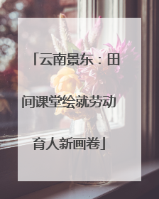 云南景东：田间课堂绘就劳动育人新画卷