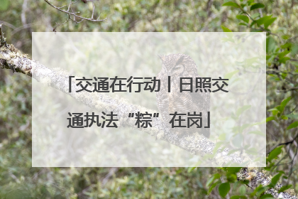交通在行动丨日照交通执法“粽”在岗