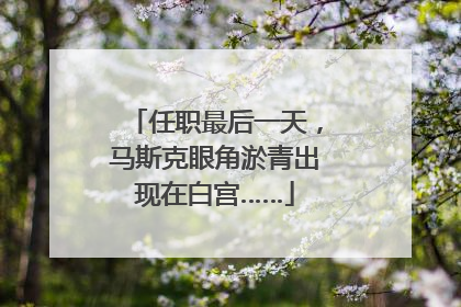 任职最后一天，马斯克眼角淤青出现在白宫……