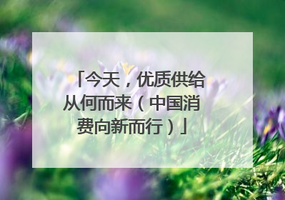 今天，优质供给从何而来（中国消费向新而行）
