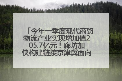今年一季度现代商贸物流产业实现增加值205.7亿元！廊坊加快构建链接京津冀面向全世界的物流通道