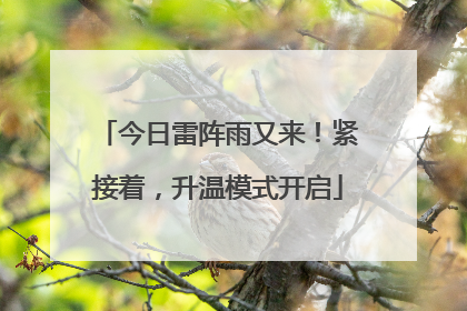 今日雷阵雨又来！紧接着，升温模式开启