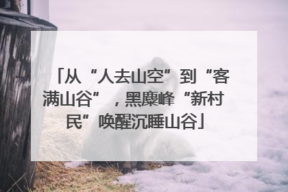 从“人去山空”到“客满山谷”，黑麋峰“新村民”唤醒沉睡山谷