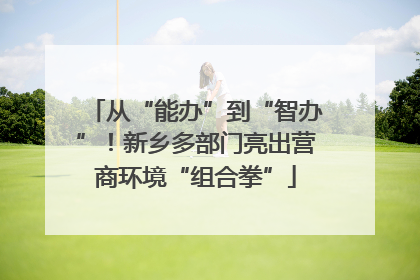 从“能办”到“智办”！新乡多部门亮出营商环境“组合拳”