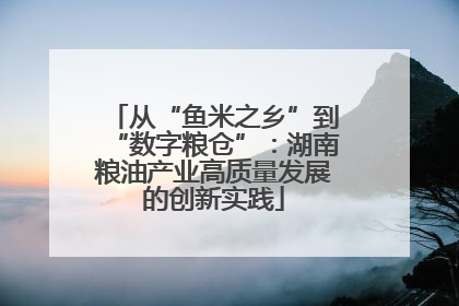 从“鱼米之乡”到“数字粮仓”：湖南粮油产业高质量发展的创新实践