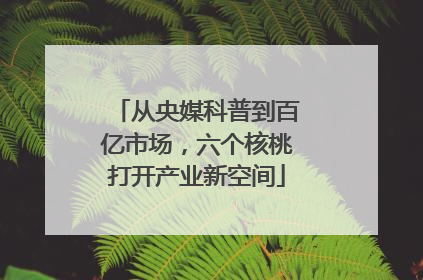 从央媒科普到百亿市场，六个核桃打开产业新空间